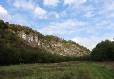 Trail Walking Flémalle - IR-219 Chokier - Châteaux, vignes et réserve naturelle sur les coteaux de la Meuse - Photo