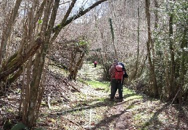 Trail Walking Ourdis-Cotdoussan - OURDIS Cotdoussan le pic de la clique-fait  933294 (fait le 30/03/2018)