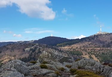 Tour Wandern Le Bessat - pilat1300 - Photo