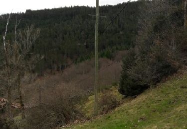 Trail Roller skating La Valla-en-Gier - t70 la grange du puy - Photo