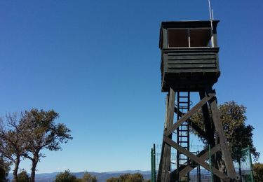 Tour Wandern Saint-Raphaël - Peïre Sarade aux Ruines Ferrières et au Menhir - Photo