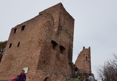 Tour Wandern Winzenheim - Autour des châteaux de Pflixbourg, Hohlandsbourg et Eguisheim - Photo