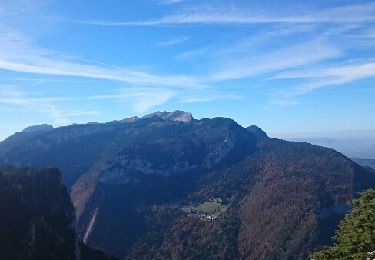 Trail Walking Saint-Laurent-du-Pont - Le Belvédère d'Arpison - Photo