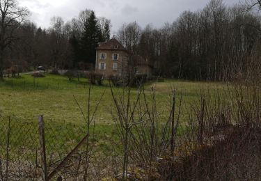 Tour Wandern La Sure en Chartreuse - croix des traverses - Photo