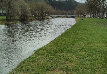 Tocht Stappen Hamoir - hamoir promenade  - Photo