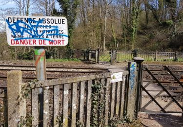 Randonnée Marche Boissy-l'Aillerie - les coteaux de la Viosne - Photo
