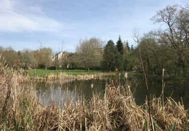 Trail Walking Rennes - 06.04.2018 - BEAUREGARD à Parc Gayeulles - Photo