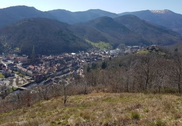 Tour Wandern Thann - Sur les hauteurs de Thann - Photo