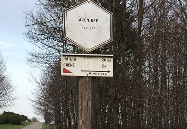 Randonnée Cheval Léglise - Traimont Avenière - Photo