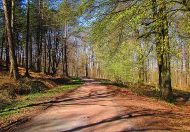 Randonnée Marche Vivières - en forêt de Retz_63_le Houssoye_les Crapaudières - Photo