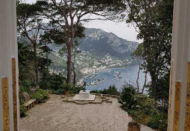 Percorso Marcia Capri - Capri - Villa Lysis - Photo