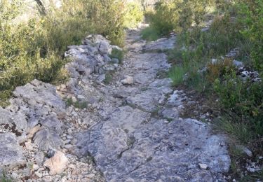 Trail Walking Cabrerets - Cabrerets grotte de pech merle - Photo