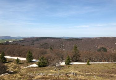Trail Walking Stosswihr - journée 2 plus un bout de la journée 3 du 21 avril 2018 - Photo
