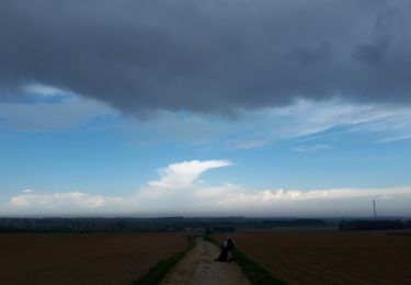 Tocht Stappen Geldenaken - Een jodogne - Photo