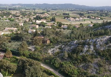 Randonnée Course à pied Rochefort-du-Gard - 10 km de Garrigues à courir ou flanner - Photo
