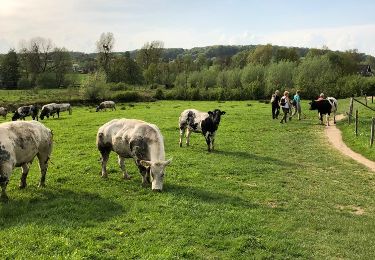 Trail Walking Gulpen-Wittem - Mechelen-Gulpen ... superbe balade du printemps 2018 - Photo