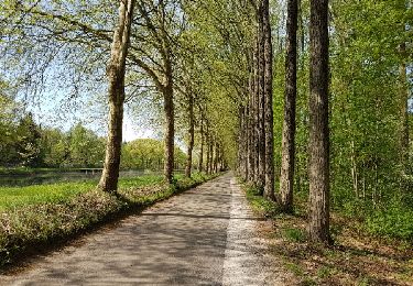 Trail Cycle Pelt - Kanaal Bocholt Bergeijk Achel-kapel Looze - Photo