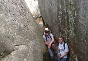 Trail Walking Fontainebleau - 180422 - Isatis EnCours - Photo