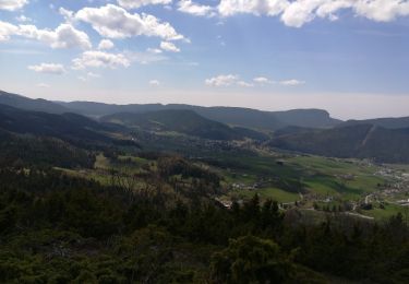 Tour Wandern Lans-en-Vercors - croix des suifs - Photo