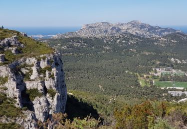 Tour Wandern Marseille - Luminy Tour du Mont Puget  - Photo