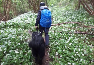 Tour Wandern Grez-Doiceau - Grez Doiseau - Photo