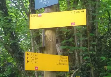 Trail Walking Montlainsia - Lains-Montrevel - Photo