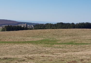 Trail Walking Nasbinals - Nasbinal Aubrac avril 2018 - Photo