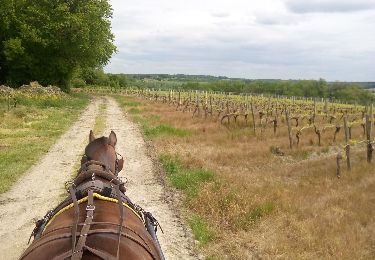 Trail Equestrian Chatenet - Peuchauvet Coteaux de Sousmoulins - Photo