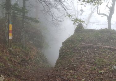 Trail Walking Autrans-Méaudre en Vercors - La Ferme de Fessole par le Pas de Pierre Taillée  et le Pas de Montbrand - Photo