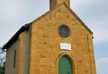 Randonnée Marche Lentilly - La chapelle Lentilly - Photo