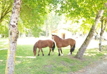 Tocht Paard Chatenet - Peuchauvet Bran - Photo