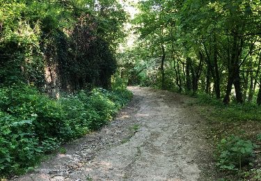 Trail Walking Flémalle - Château de Chokier et d'Aigremont - Photo