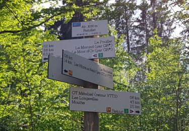 Trail Walking Métabief - Le Morond-Metabief  - Photo