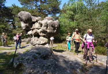 Tour Wandern Fontainebleau - 180505 EnCours - Photo