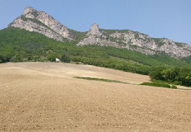 Tocht Paard Francillon-sur-Roubion - la bastide du quinson foret de saou - Photo