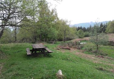 Tour Wandern Saurat - 9 mai 2018 pic d'Estibat 09 - Photo