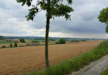 Tour Fahrrad Ronse - Wittentak - Genets - Photo