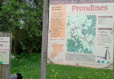 Trail Walking Prondines - les Chapelles de Pérol et de l'Eclache - Photo