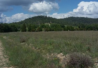 Trail Walking Gréoux-les-Bains - Gréoux - Le long du Verdon - Photo