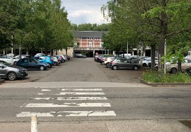 Randonnée Marche Seraing - Belle Île par les bois - Photo