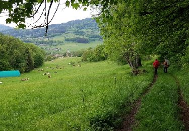 Trail Walking Villard - Reco G3 Pointe de Miribel 15-05 - Photo