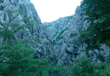 Tour Andere Aktivitäten  - Croatie-Parc National de Plevenice - Photo
