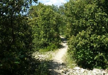 Trail Walking Nyons - NYONS (Montagne d'Essaillon) - Photo
