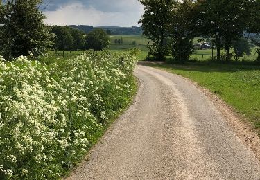 Tour Wandern Malmedy - jolie promenade de 15 km a Ligneuville (Malmedy) - Photo