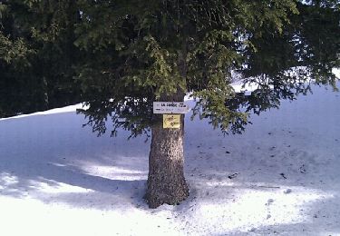 Excursión Raquetas de nieve Châtelblanc - La Jaique - Photo