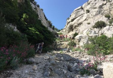 Randonnée Marche Marseille - coucou maman  - Photo