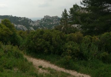 Tour Mountainbike Saint-Étienne-du-Grès - Saint Martin du grès les Baux de Provence - Photo