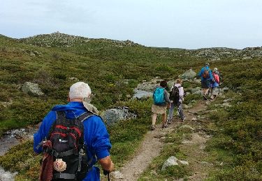 Trail Walking Quenza - corse 3 - Photo