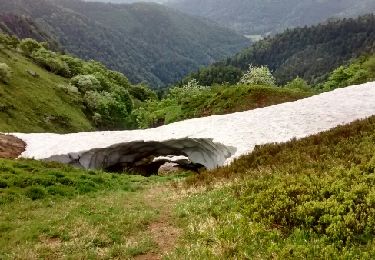 Percorso Marcia Metzeral - sentier Névés, Kastelberg, et retour Hohneck 27-05-18 - Photo