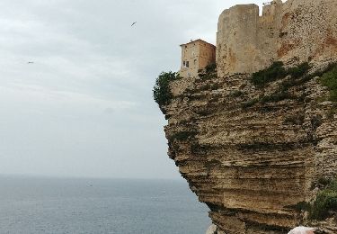 Tocht Stappen Bonifacio - corse 4 - Photo